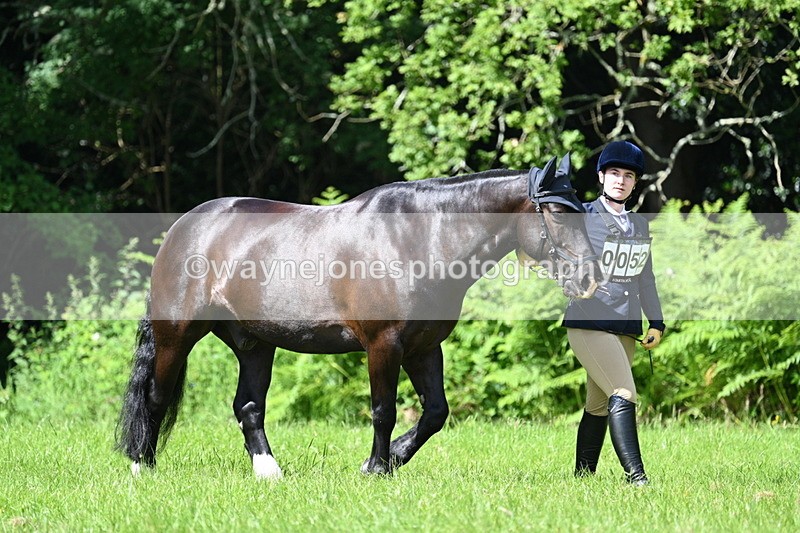 WJ7_1037 - Class 11 Condition & Turnout