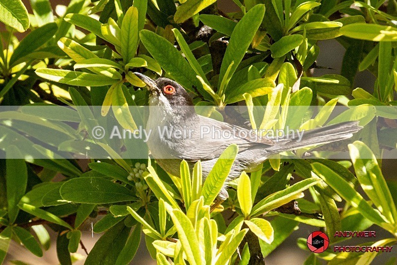 190515-untitled-8E0A2409 - Abroad