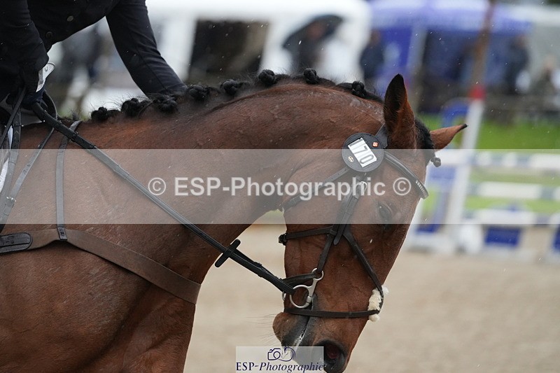 261024A-110943-19268 - B-170-Alice.Kneen