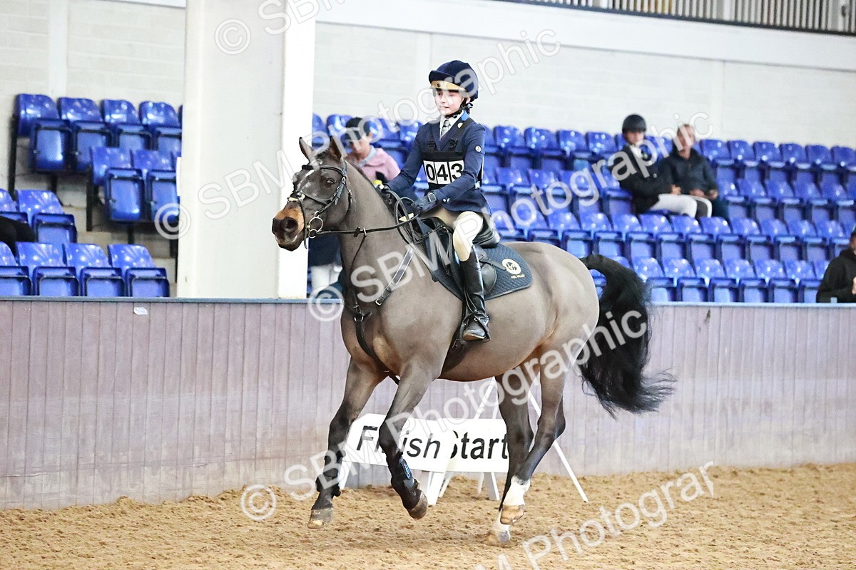 SBM_001277 - Class 4 - Show Jumping 70cm
