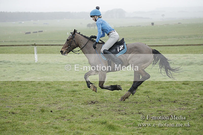 PtP 150320 0118 - New Forest Point-to-Point Larkhill 15/03/20