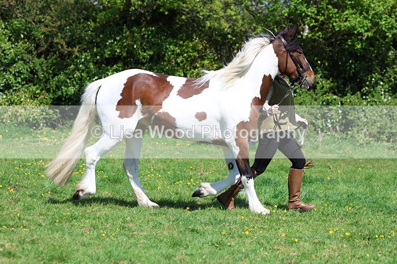 3E7A0297 - Class 19: Best Coloured in Hand