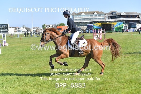 BPP_6883 - CLASS 1 Senior Newcomers/ 1.10m Open