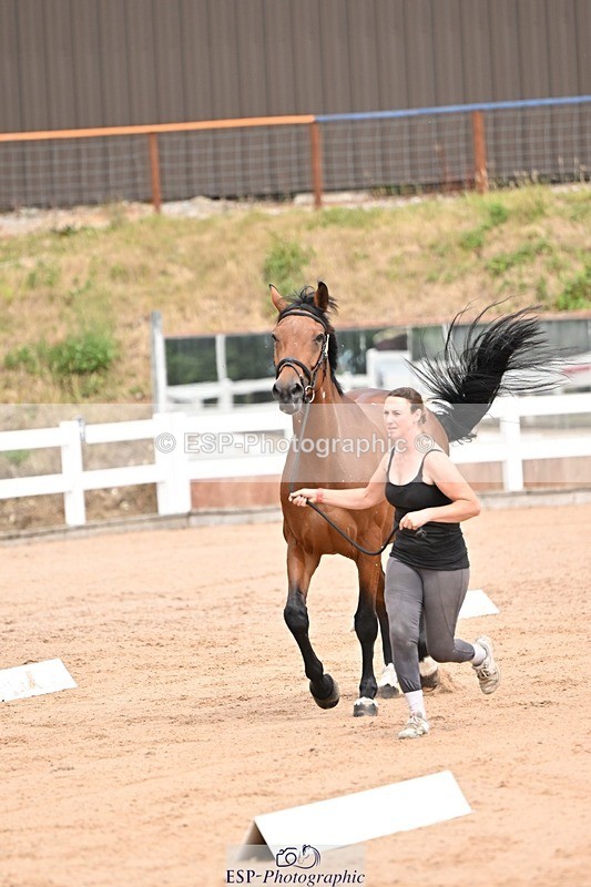 250716-150842-01683 - Trot Up 2.30 to 3.30