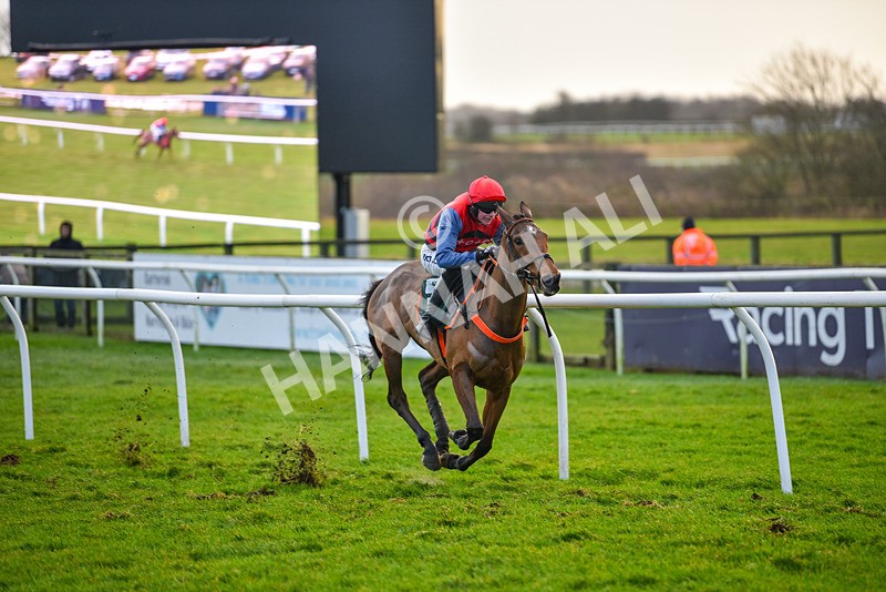 281223-Race 4-Lavida Adiva-2-7 - Race 4