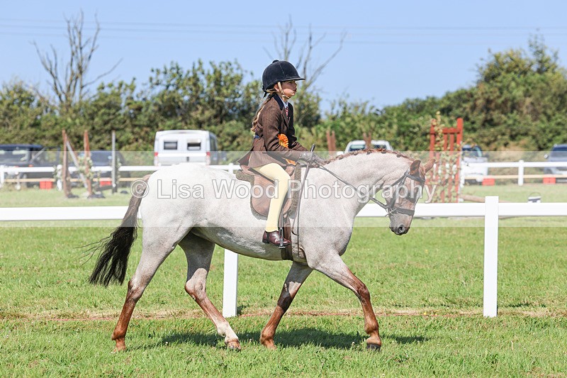 IMG_1985 - Class 33: Show Pony 148cm and under
