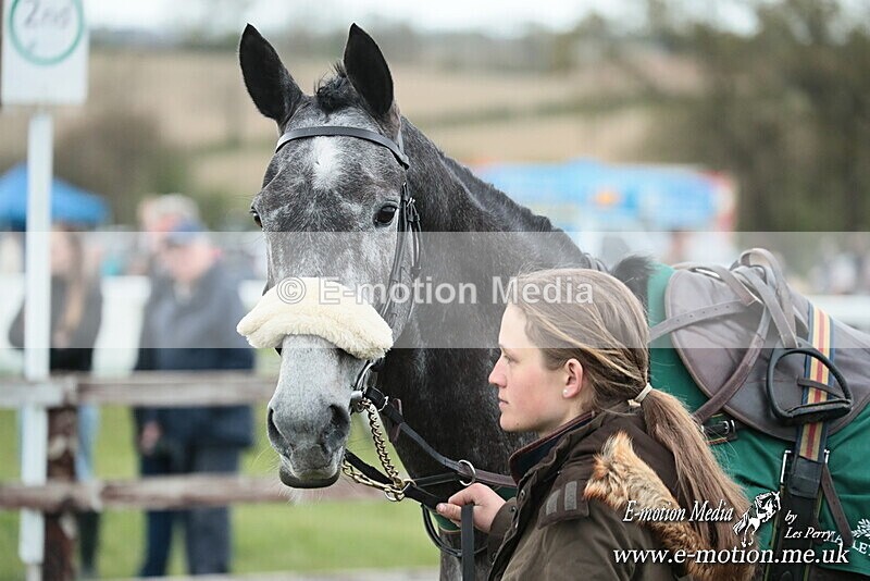PtP 130425 337 - Edgecote Races 13/04/25