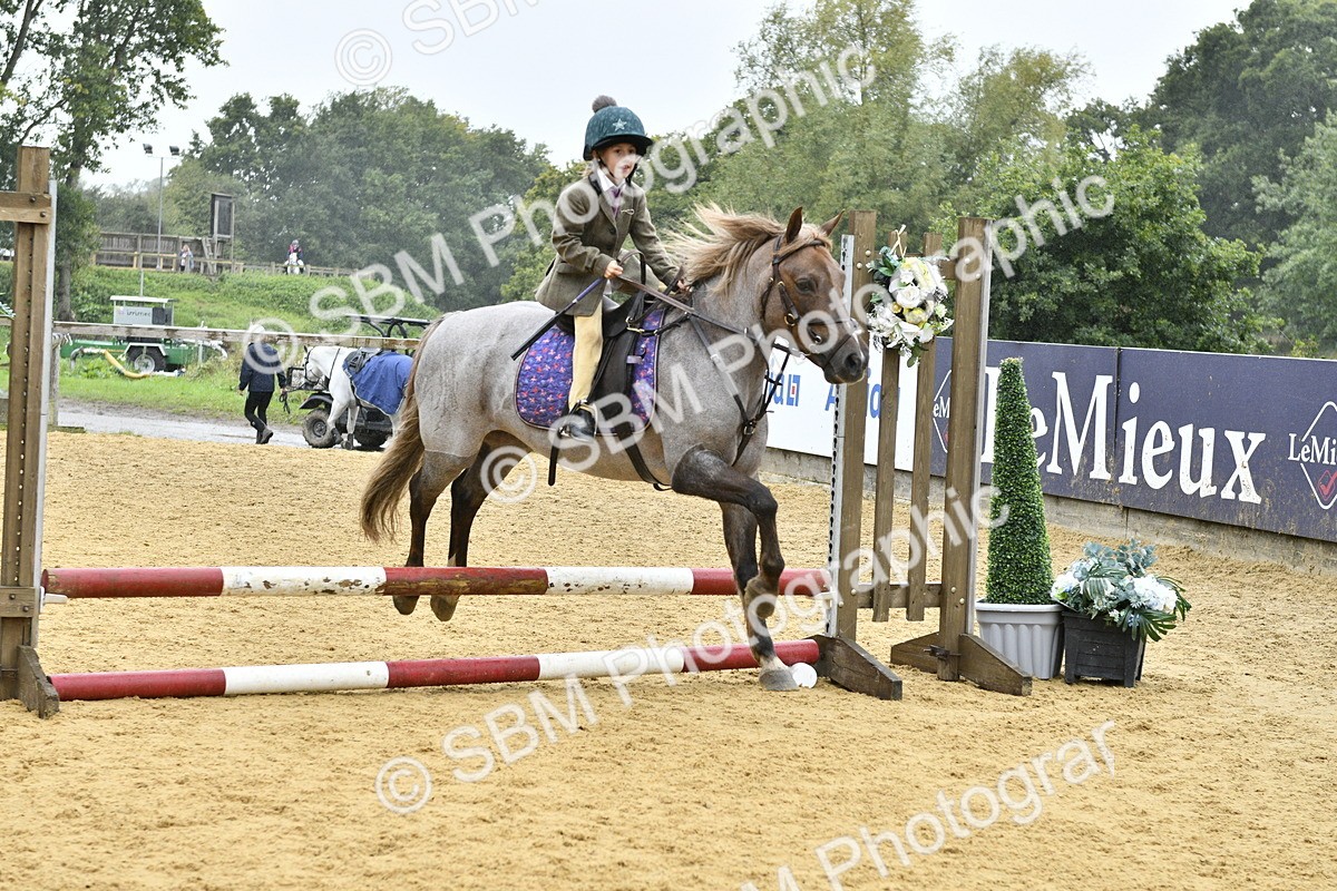 SBM_70915 - J3 - Mini Tour Junior Pony 40cm championship
