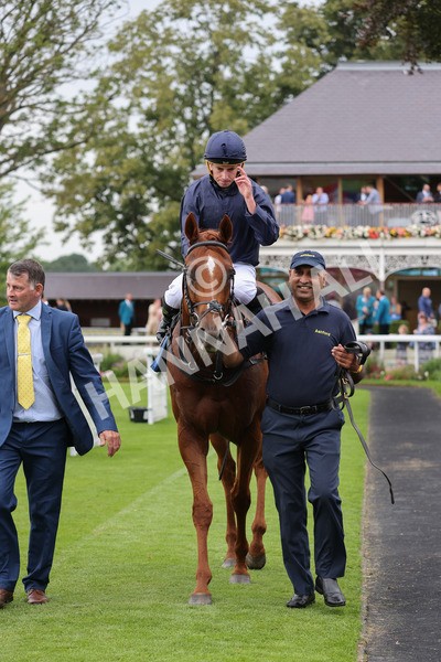 yr20082021r7-41 - Race 7 5.10pm Sky Bet Mile