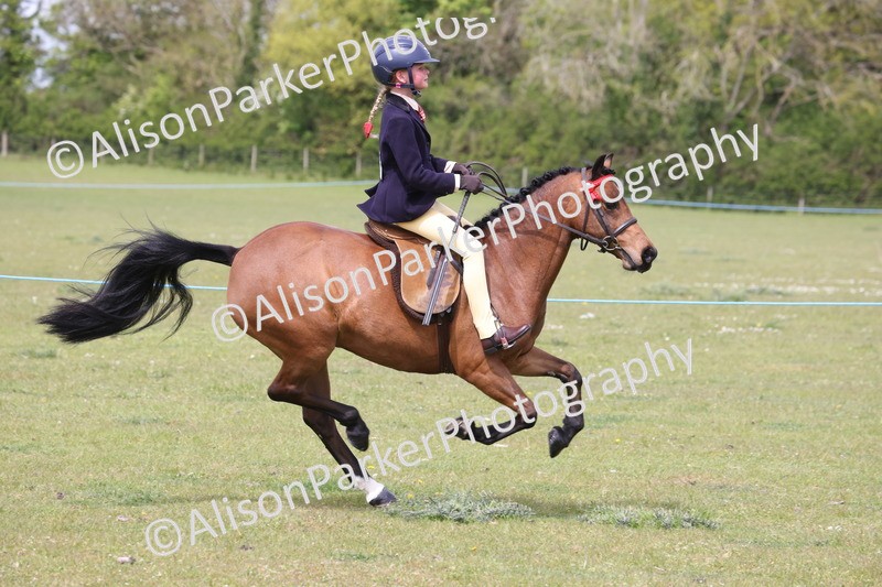 20260426-2988 - Class 33 - Best Pony 14.2hh and Under