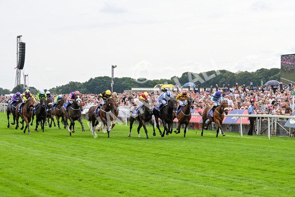 260725-Race 2-Elmonjed-0316 - Race 2 2.00pm Sky Bet Dash Handicap