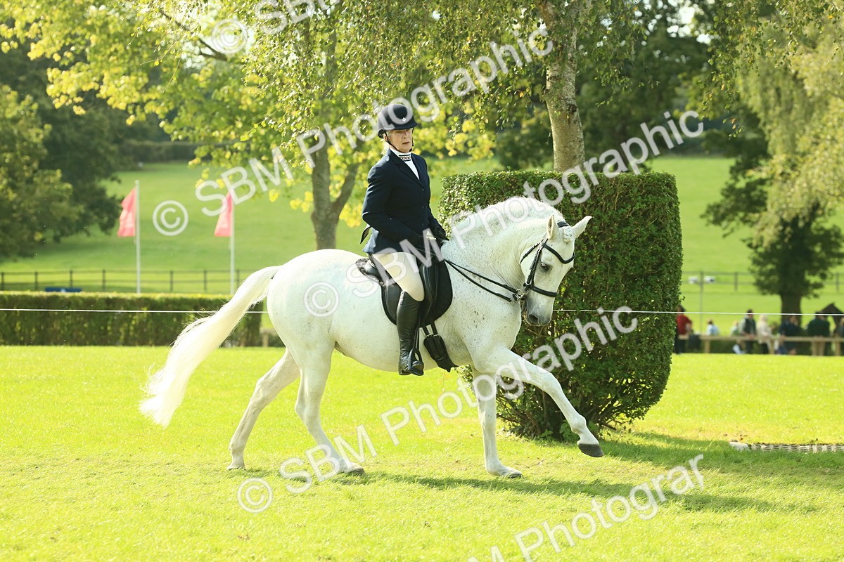 SBM_62401 - S62 - Foreign Breeds Ridden