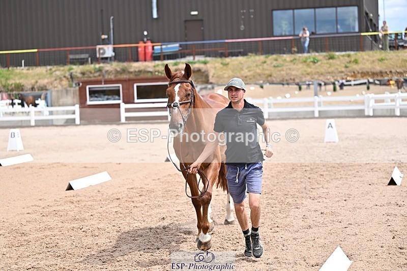 250716-132122-00459 - Trot Up 12.30 to 1.30