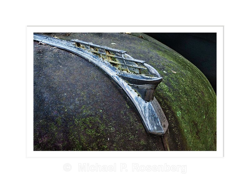 1949 Plymouth Mayflower Hood Ornament: Autographica Series - AUTOGRAPHICA: Faded Glory
