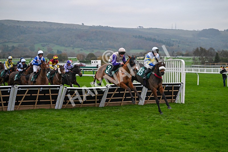 151124-Race 6-Shinji-8850 - Race 6