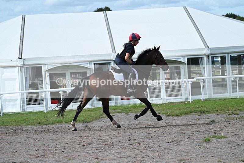 WJ7_2394 - Time 13:55 to 14:05