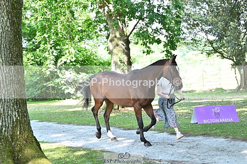 250521A-161127-00970 - C-208-Georgie.Frow-MBF.OLD.MEL