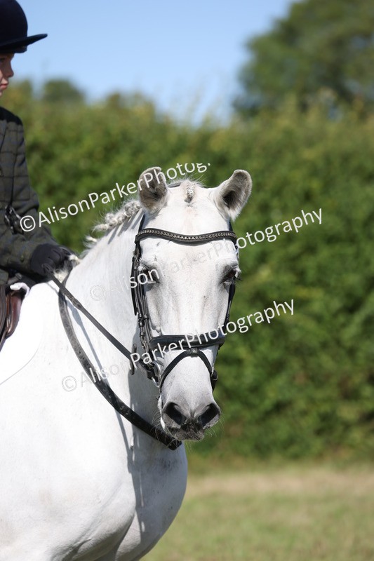 20260906-2195 - Class 16 - Family Pony