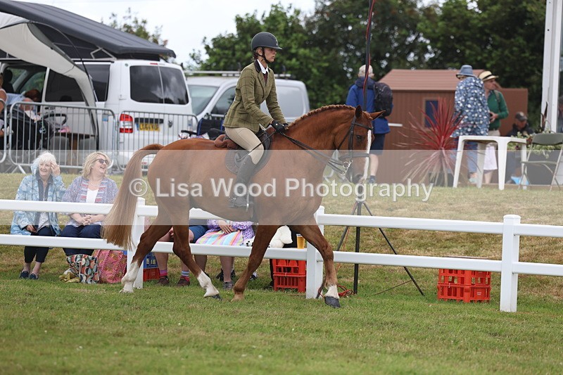 3E7A1375 - Class 9: Open Hunter