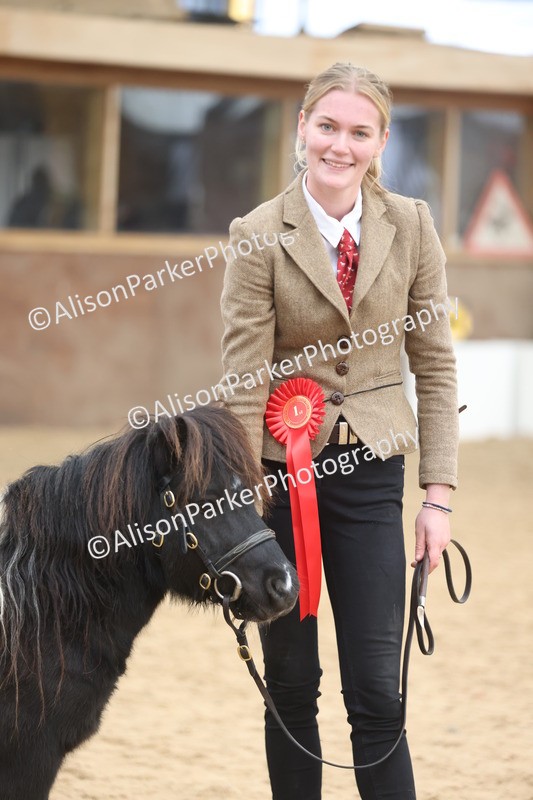 20251109-0285 - Class 12 - Stallions 4 Years and Over