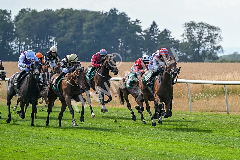 160726-Race 4-Park Lane Penny-4660 - Race 4 15.38pm Don't Miss Summer Family Days @thirskraces Classified Stakes