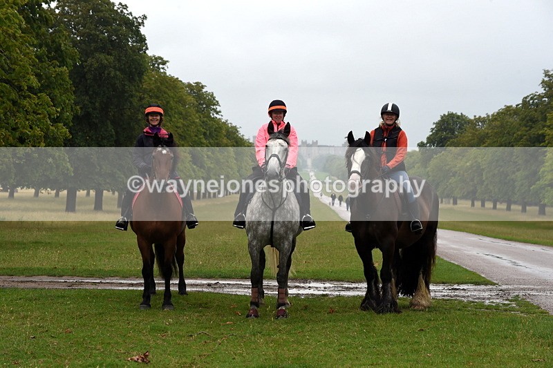 TT3_8059 - Time at Crossing 09:15 to 10:15