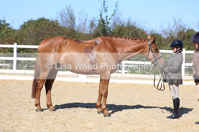 3E7A5589 - Class 9: Open Ridden Hunter