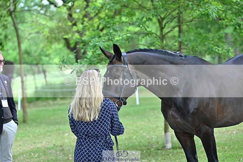 250521A-155245-00817 - B-376-Lucy.Robinson-BELLINE.SECOND.CHANCE