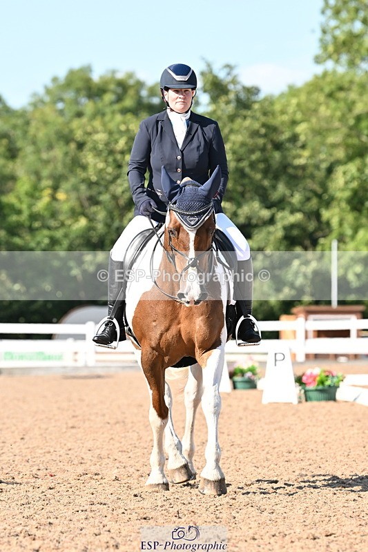 240816A-164655-06261 - 307-Rachel.Cook-Tiger.lily.vi