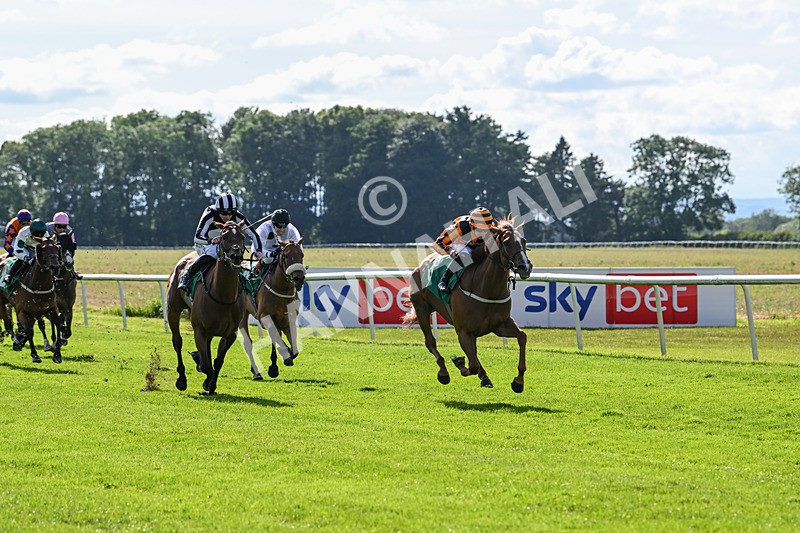 160624-Race 3-Mereside Diva-8517 - Race 3