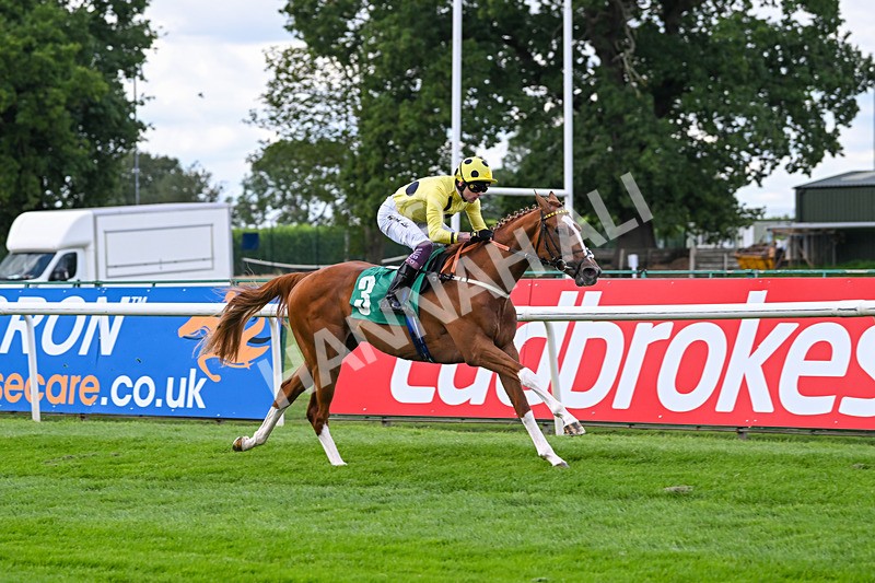 020825-Race 2-Zeus Olympios-2642 - Race 2