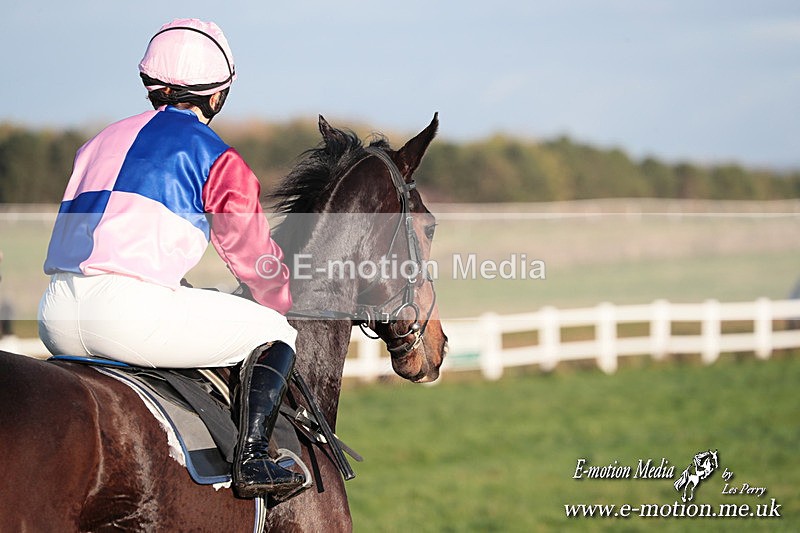 PtP 011224 677 - Hursley Hambledon Point-to-Point Larkhill 01/12/24