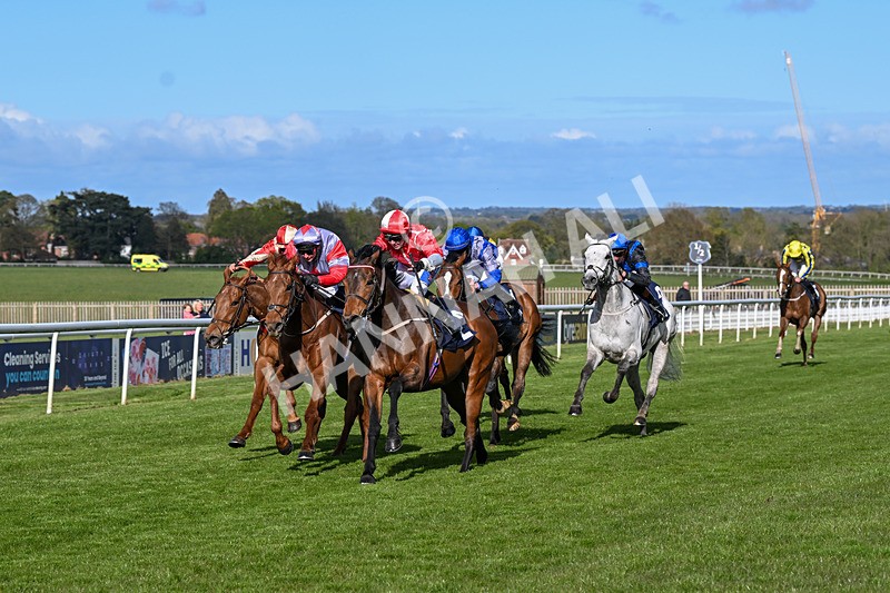 250424-Race 6-Wheres Jeff-1768 - Race 6