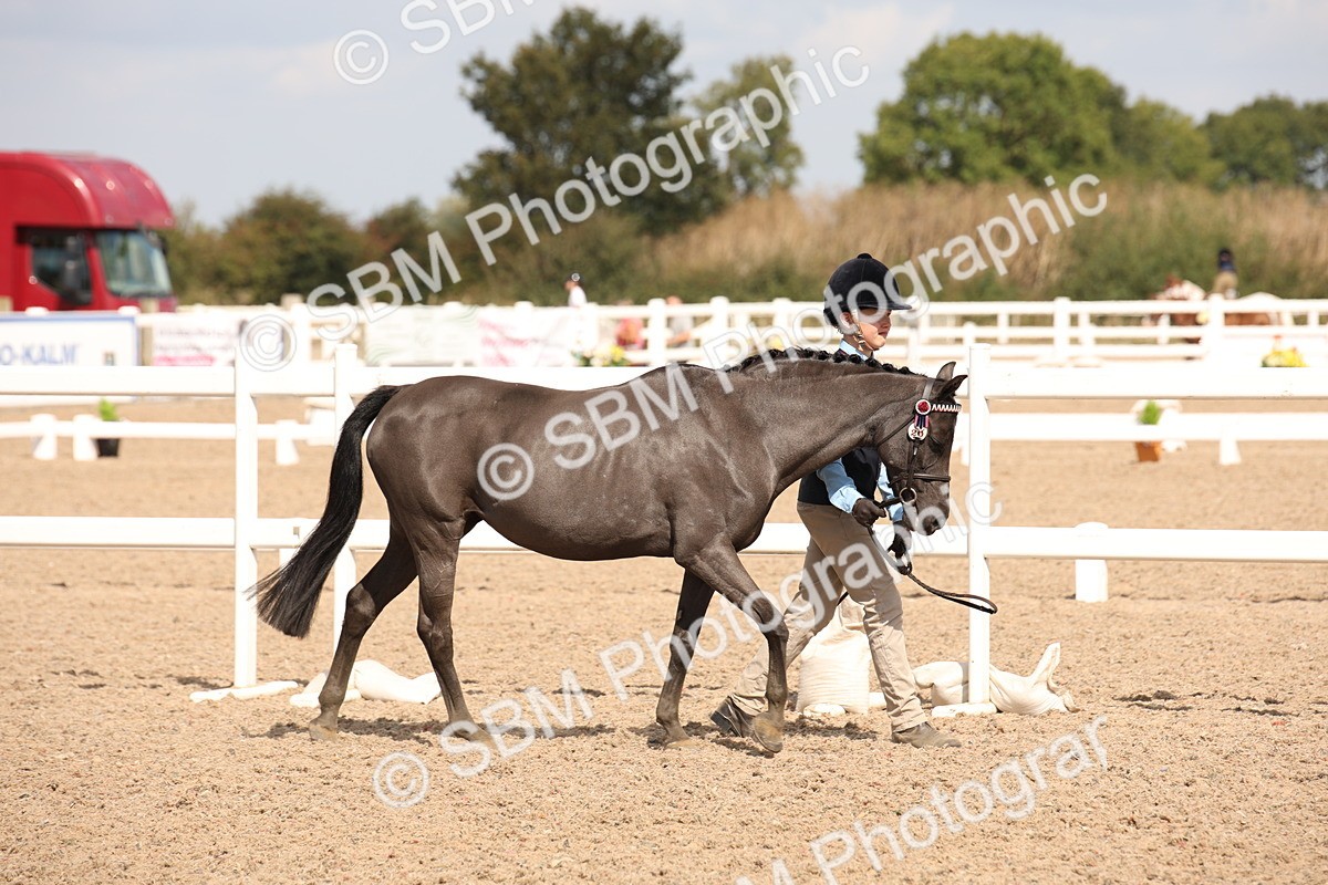 SBM_03736 - Class 19 Judge's Favourite