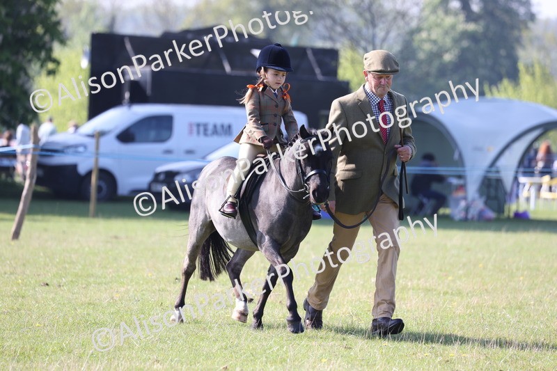 20250427-0167 - Class 30 - Tiny Tots Lead Rein