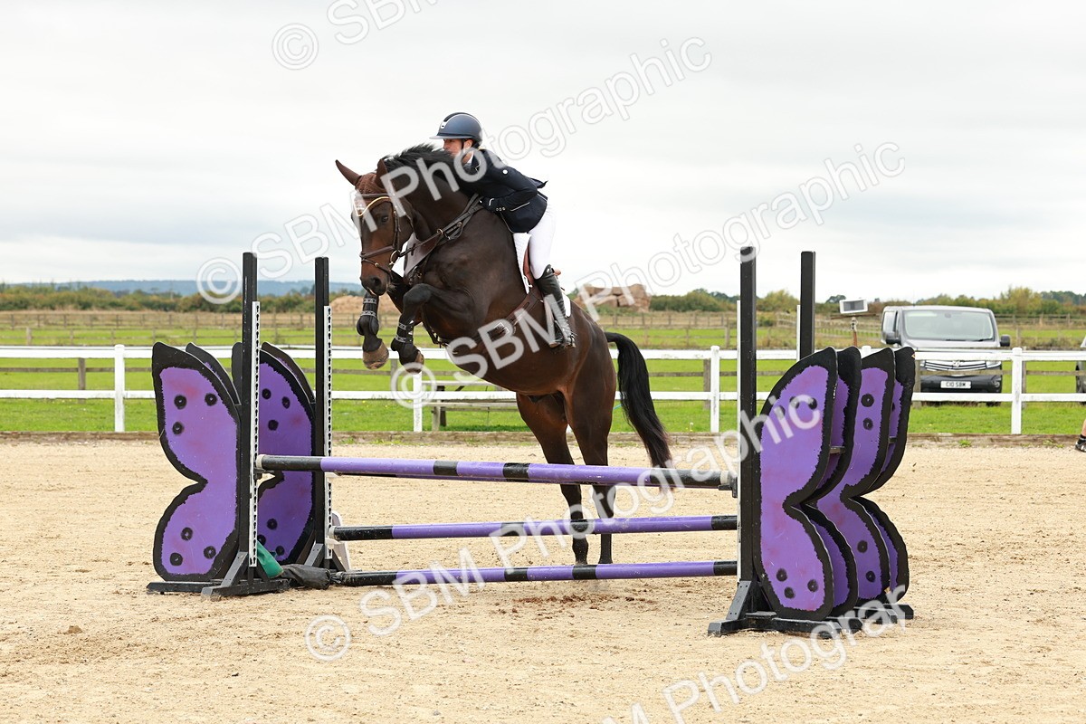 1I0A6824 - Class 2 - Senior British Novice