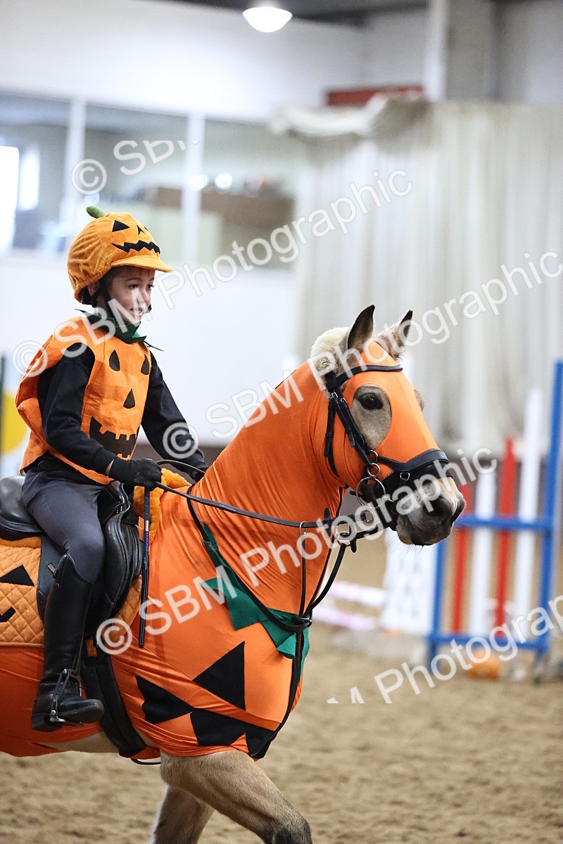 SBM_000541 - Class 2 - Show Jumping 50cm