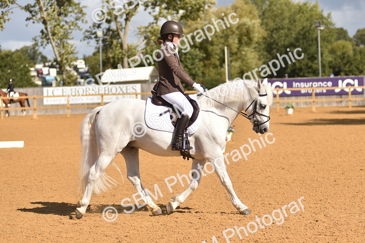 SBM_02988 - D4 - Small Tour Championship Intro 4