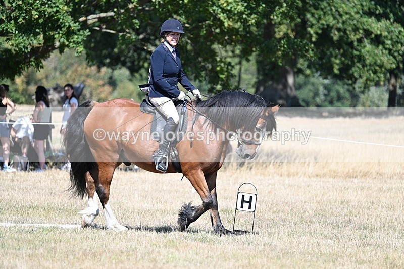 WJ7_0767 - Time 12:03 to 12:23