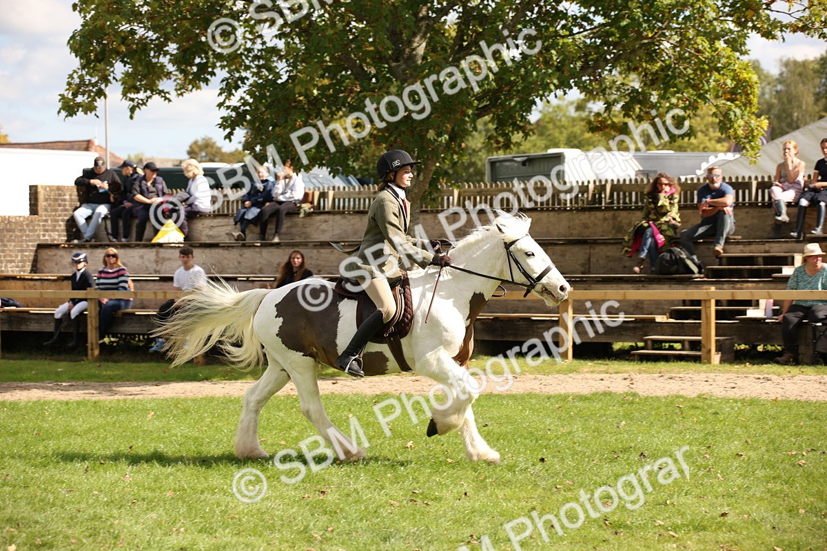 SBM_42289 - S13 - Pony Club Pony
