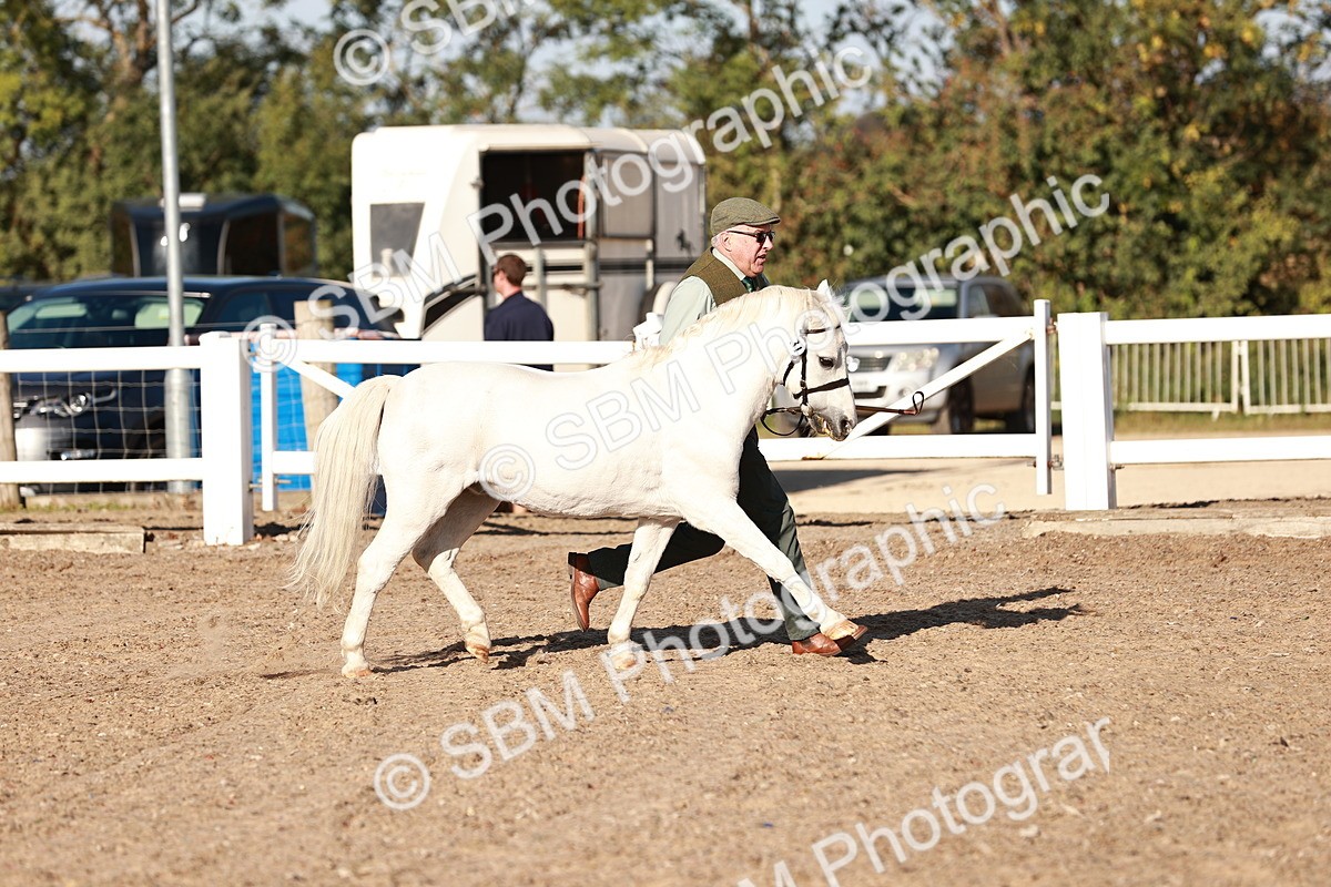 SBM_11380 - Class 402 - IH  Veteran pony