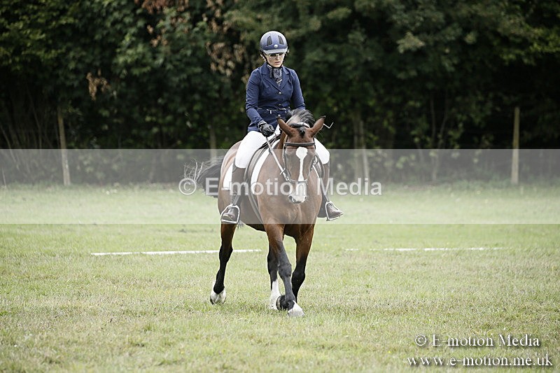 BVR080918 252 - BVRC Novice Dressage & CR 08/09/18