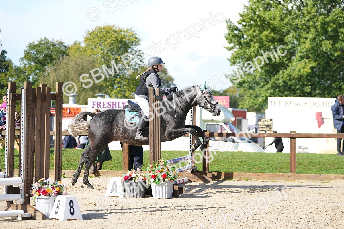 SBM_38167 - J6 - Junior Pony 55cm Championship