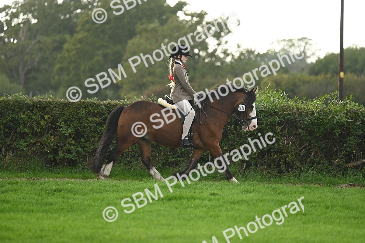 SBM_26595 - S7 - Novice & Newcomer Ridden Pony