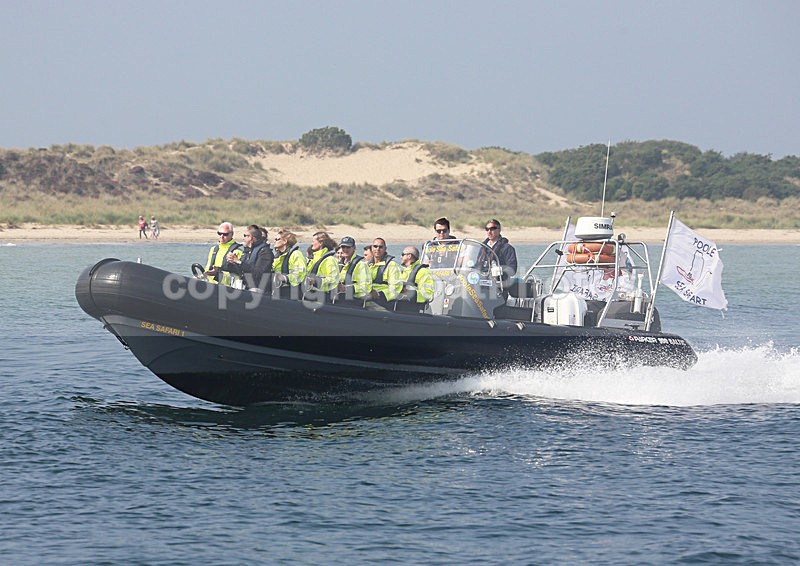 140907 POOLE SEA SAFARI WT7A3793 - RIBs, Tenders, Dories, Dinghies