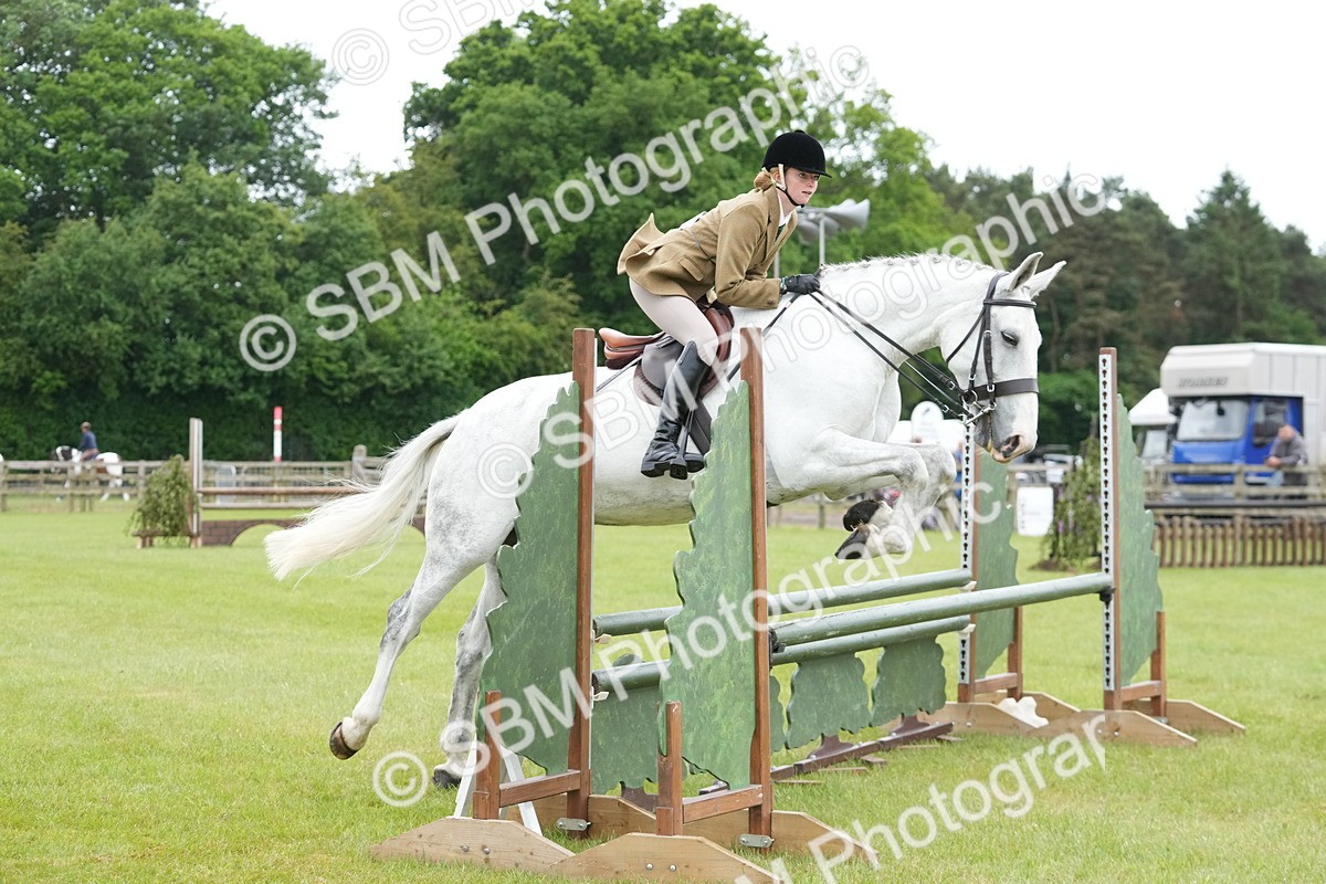 SBM_12528 - Class 97-98 - LIHS BSHA Rising Star Working Show Horse Hunter