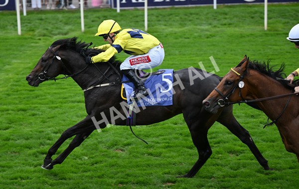 220825-120 Lifeplan - Race 3 3.00pm Al Basti Equiworld Dubai Gimcrack Stakes
