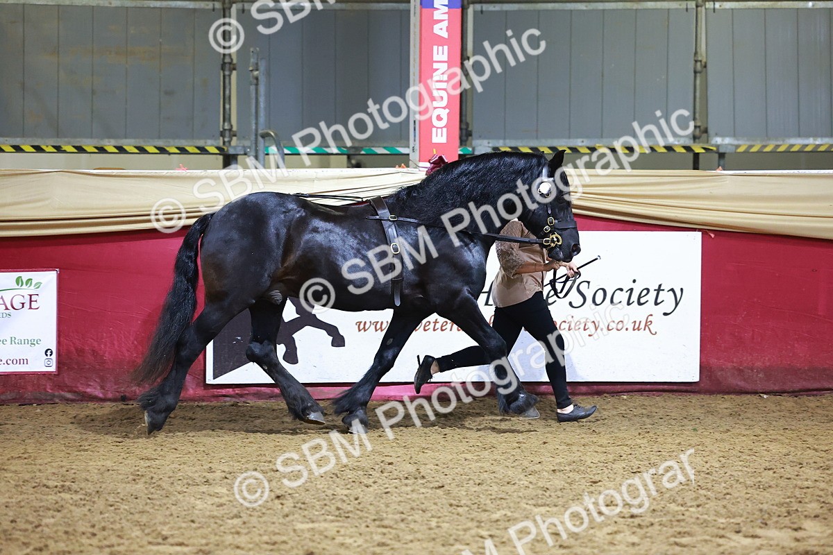 SBM_15223 - Class P - M&M Champ
