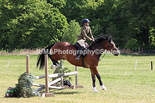 IMG_4205 - Working Hunter