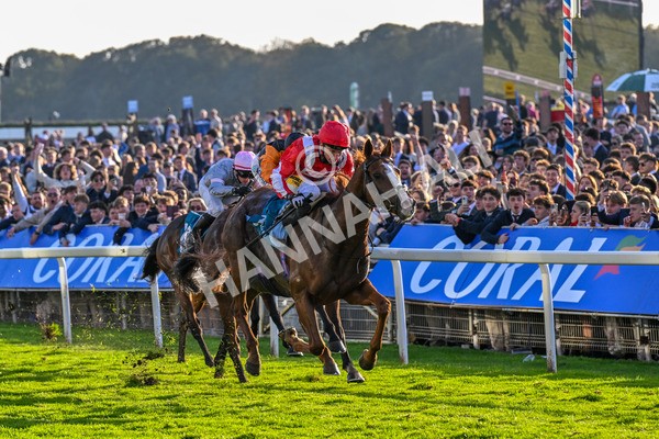 111025-Race 6-Berkshire Sundance-0639 - Race 6 Coral Racing Club Stayers Handicap at York